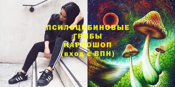 ешки Бугульма