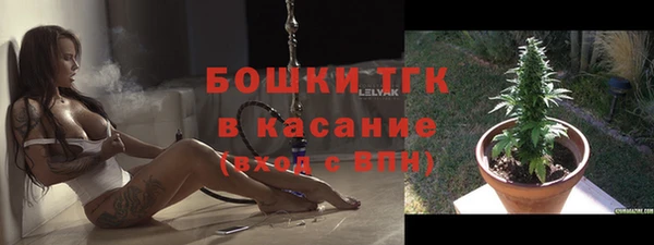 молекула духа Бронницы