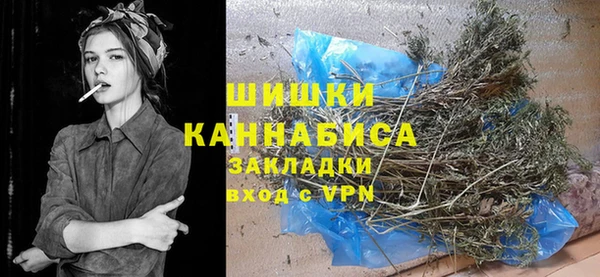 молекула духа Бронницы