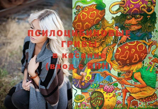 ешки Бугульма